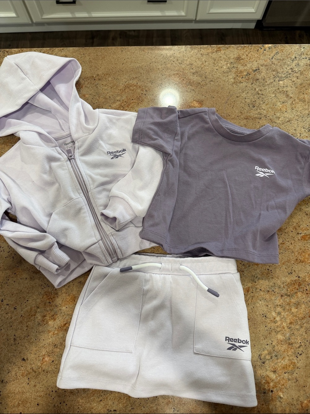 Reebok Kids Lavender & Dusty Purple 3-Piece Hoodie, Tee & Skort Set 18-24M